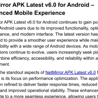 netmirror
