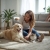 Petsoul Care