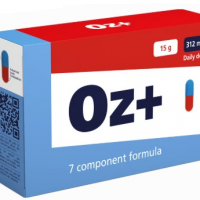 Ozem Norge no