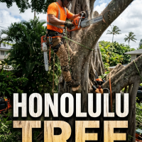 Tree Expert