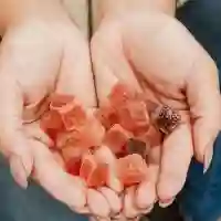 Bliss Bites CBD Gummies