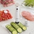 SavourFresh Vacuum Sealer