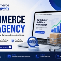 ecommerceseoagencyy